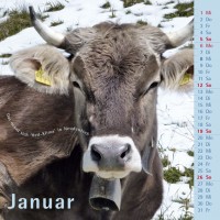 kuhlender 2014 (wandkalender)