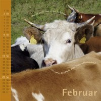 kuhlender 2014 (wandkalender)