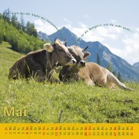 kuhlender 2018  (Wandkalender)