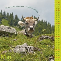 kuhlender 2019 (wandkalender)