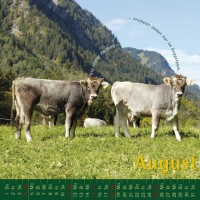 kuhlender 2019 (wandkalender)