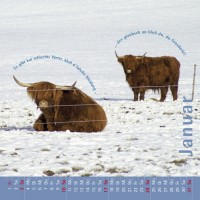 kuhlender 2010 (wandkalender)
