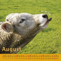 kuhlender 2010 (tischkalender)