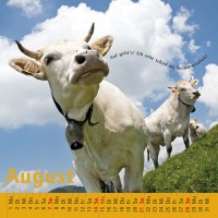 kuhlender 2011 (wandkalender)