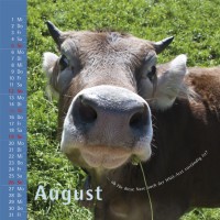 kuhlender 2012  (wandkalender)
